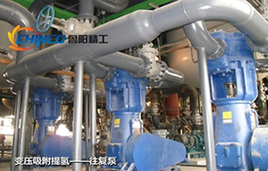 Reciprocating vacuum pumps