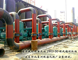 Reciprocating vacuum pumps