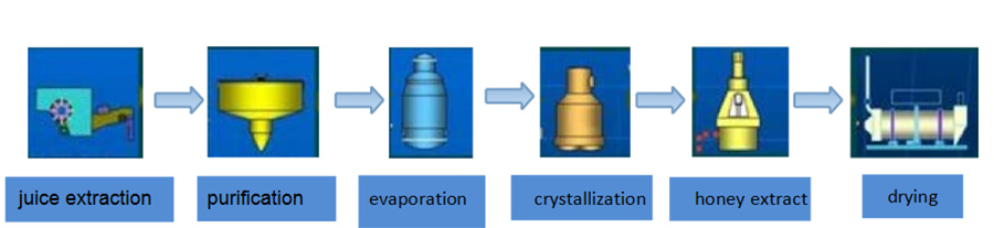 Main sugar making process