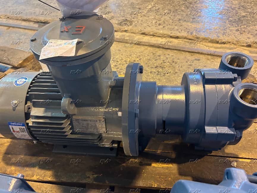 Liquid ring vacuum pump photos before shipping