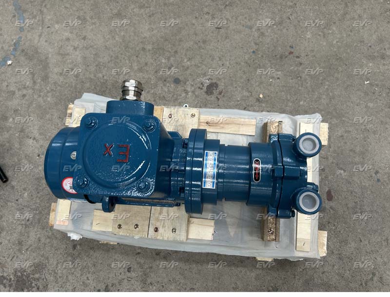 2BV6-061 Liquid ring vacuum pump 