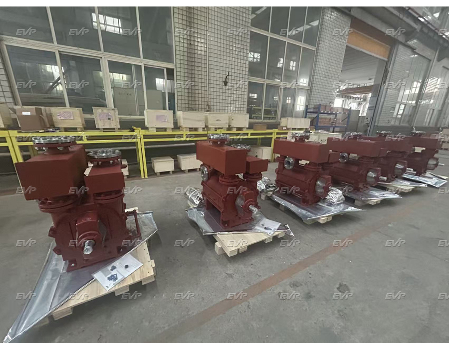 Liquid ring Vacuum pump photos before shipping