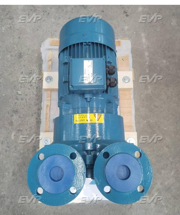 Liquid ring vacuum pump