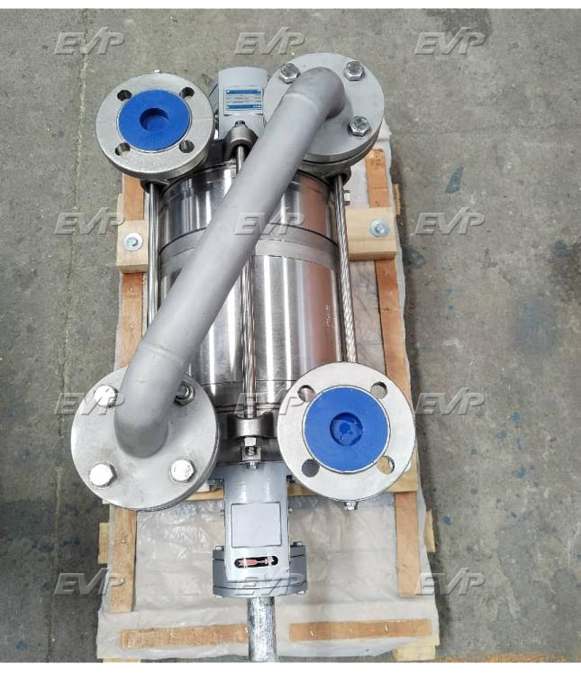 Application Solution of Liquid Ring Vacuum Pump for Palm Oil Refining in Sri Lanka